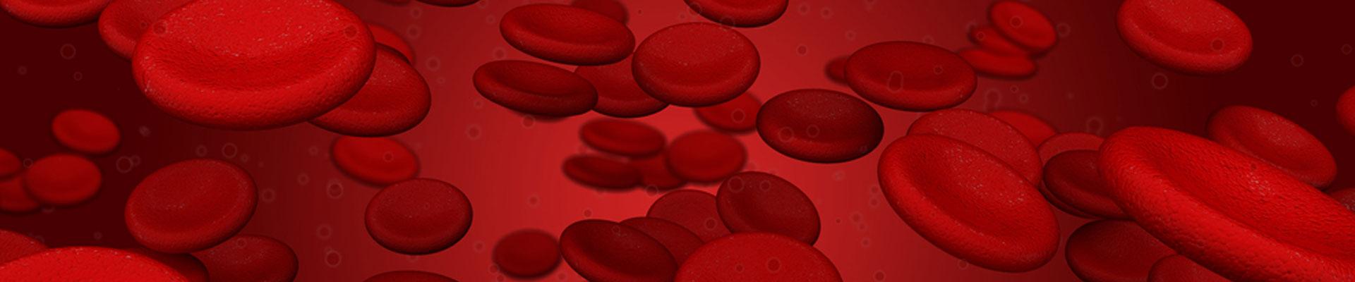 Blog Banner