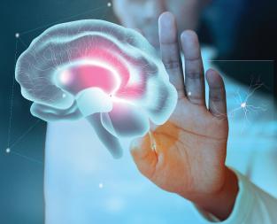 blog/brain-cancer
