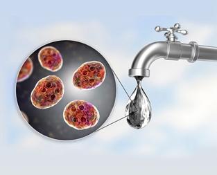 blog/type-transmission-and-prevention-of-water-borne-diseases