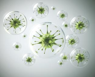 blog//bacterial-infection-diseases-treatment-types-and-symptoms