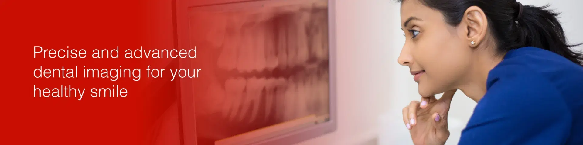CBCT Sectional View